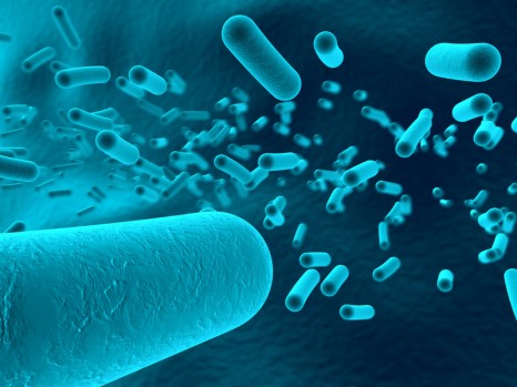 bacteria - blue version
