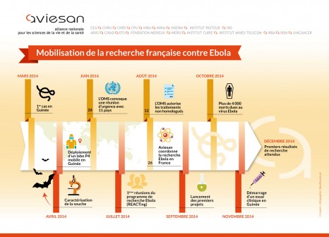 infographie-aviesan-ebola copyright Inserm