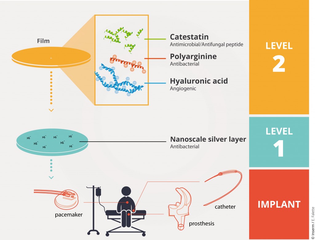 Antimicrobial Film For Future Implants Inserm Newsroom