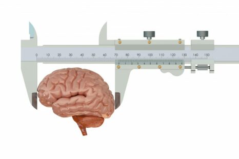 cerveau mesure