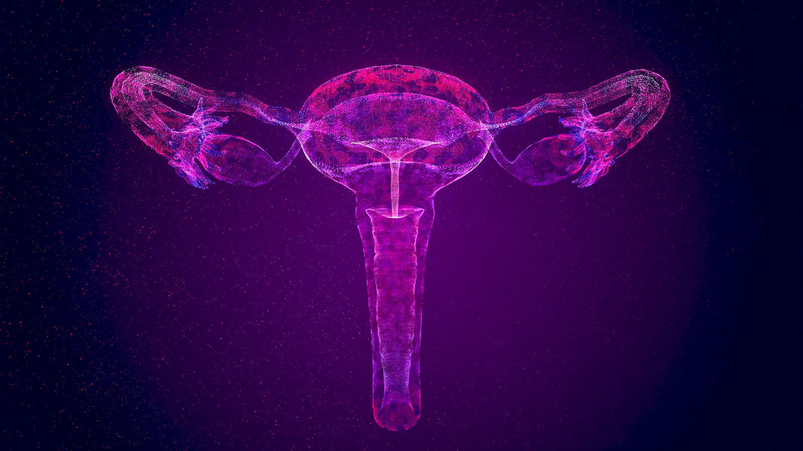 Modélisation en 3D d’un utérus