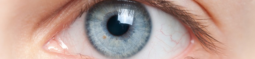 Voluntary eye movements, a new indicator of postural control in Parkinson disease ?