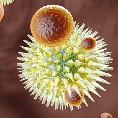 (French) VIH : des globules blancs très actifs dans l’hyperactivation du système immunitaire