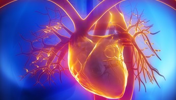 September 29th, 2013 : World Heart day