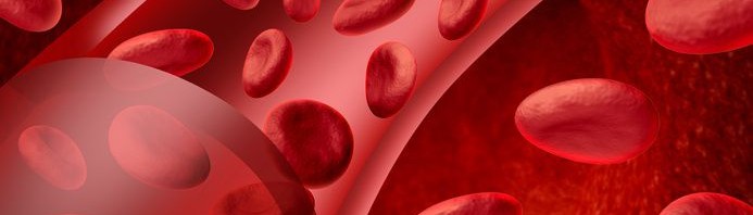 Red blood cell fragments attack blood vessels