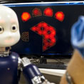“Simplified” brain lets the iCub robot learn language