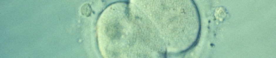 Bill about embryonic stem cells