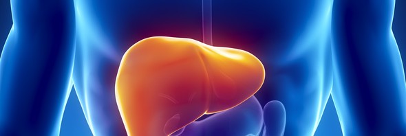 Liver disease: understanding it will enable the provision of better treatment
