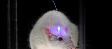 Optogenetics is proving to be highly promising in the treatment of obsessive-compulsive disorders