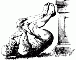 IgNobels 2013 awards