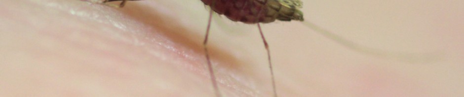 Usutu Virus Detected in a Patient in Montpellier in 2016