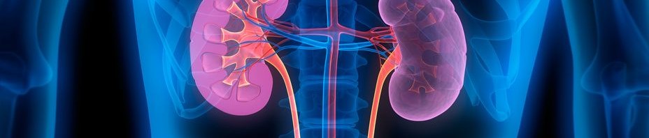 Preserving Kidneys to Avoid Dialysis