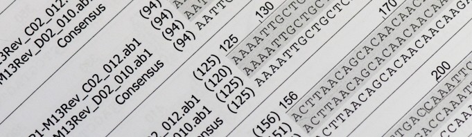 Breakthrough: new letters in the alphabet of life