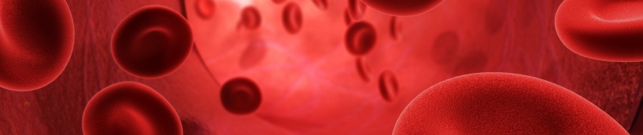 1ère autotransfusion de globules rouges créés à partir de cellules souches