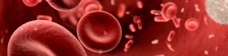 Friday 17 April: World Haemophilia Day