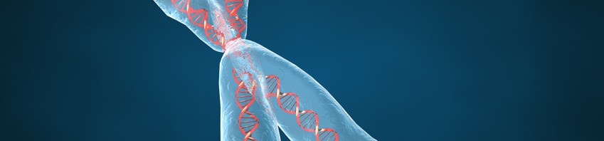 A new gene implicated in hypertension