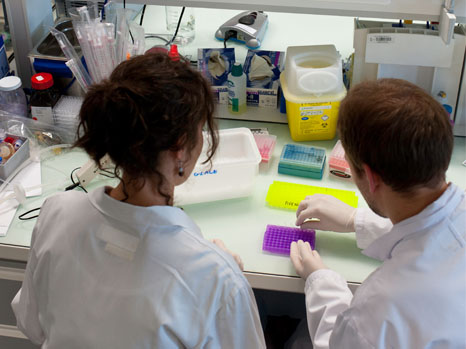A new MOOC invites the general public to discover a stem cell culture laboratory