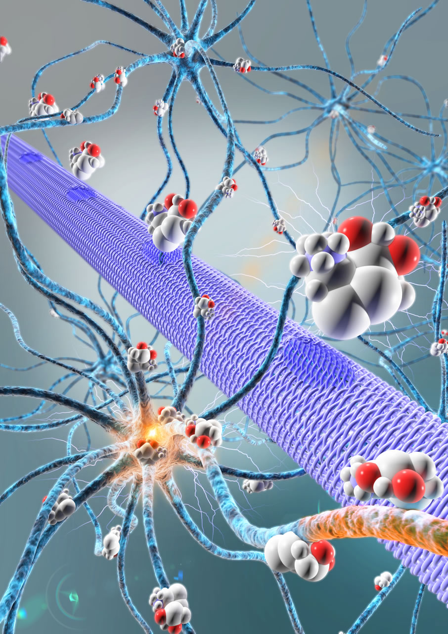 An electronic micropump to deliver treatments deep within the brain.