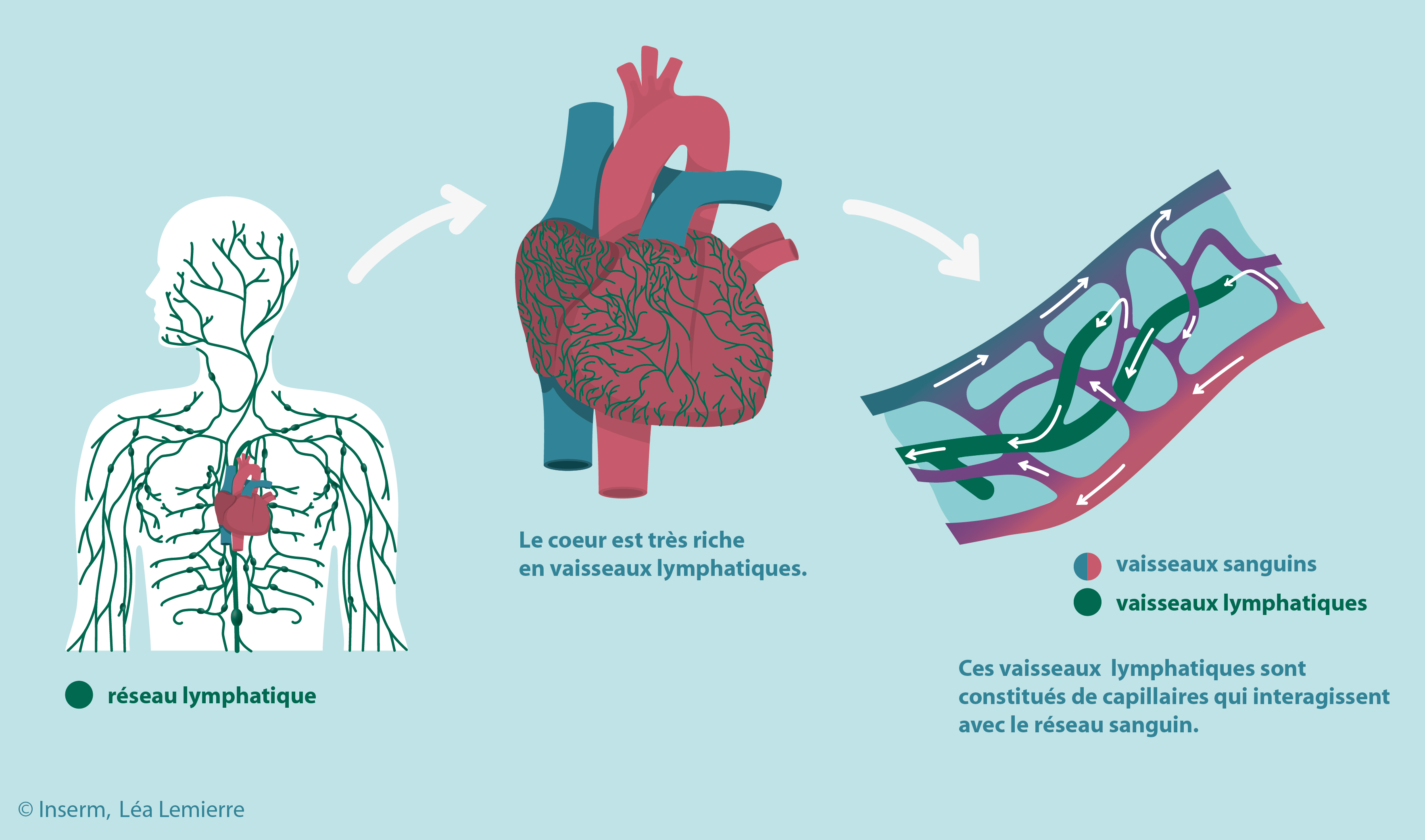An invisible system to rescue the heart