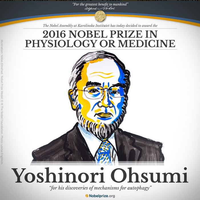 Nobel Prize in medicine 2016