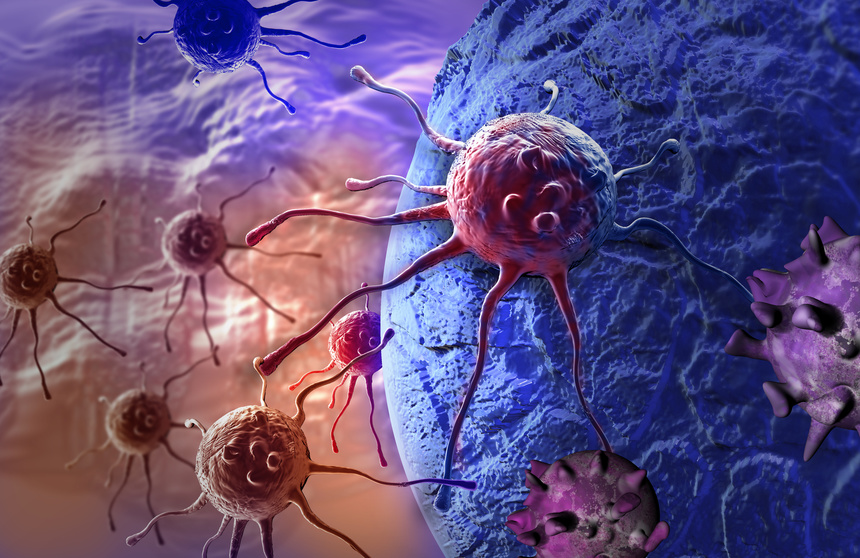 Discovery of a new mechanism involved in the migration of cancer cells