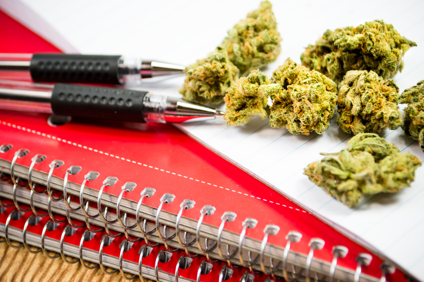 Is the Link Between Early Cannabis Use and Academic Performance Becoming Clearer?