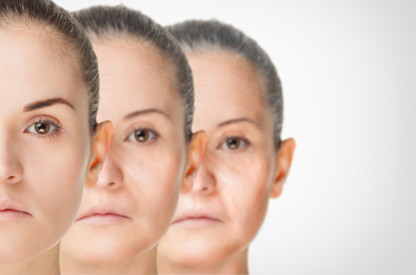 A major advance towards a treatment for accelerated ageing