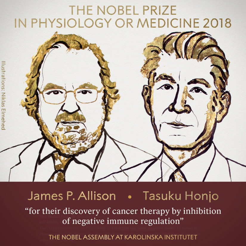 Le Prix Nobel 2018 de médecine a été décerné conjointement à James P. Allison et Tasuku Honjo pour leurs recherches sur l’immunothérapie du cancer