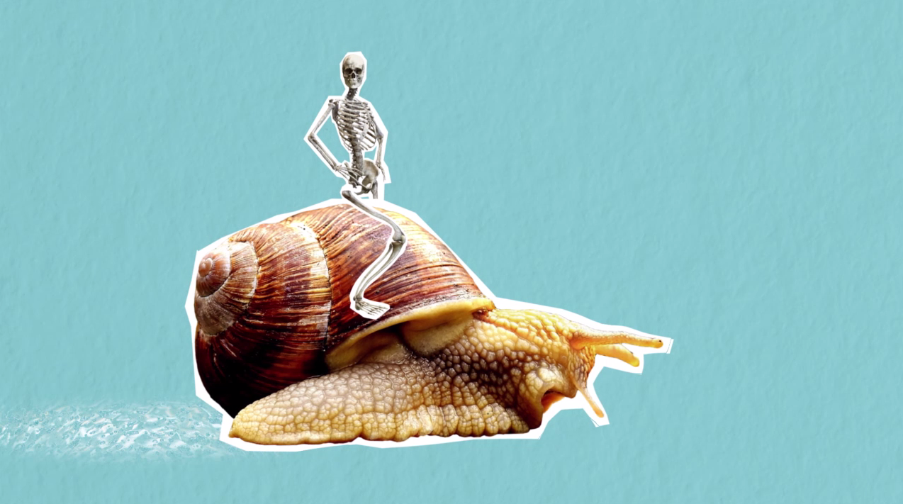 L&rsquo;arthrose vaincue… vraiment?