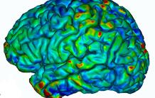 Effets du lithium sur le cerveau dans le traitement du trouble bipolaire : vers la confirmation d’un mécanisme d’action