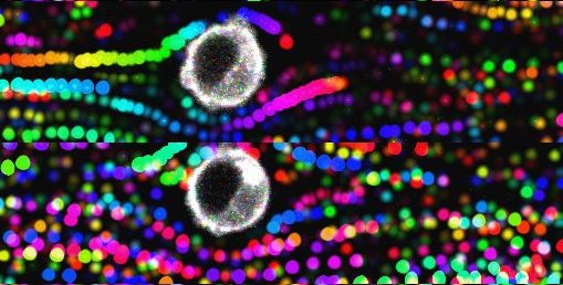 Imagerie de billes fluorescentes filmées à très haute vitesse