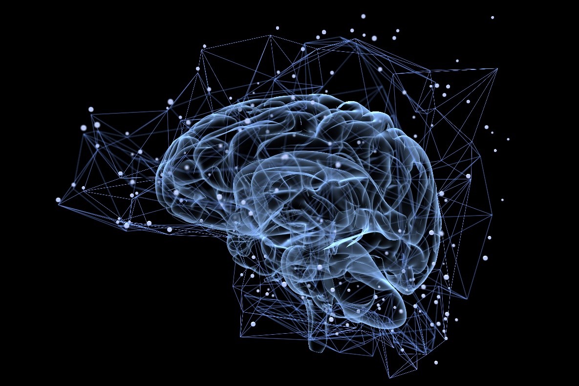 “Brain Map” paves the way for Personalized Medicine