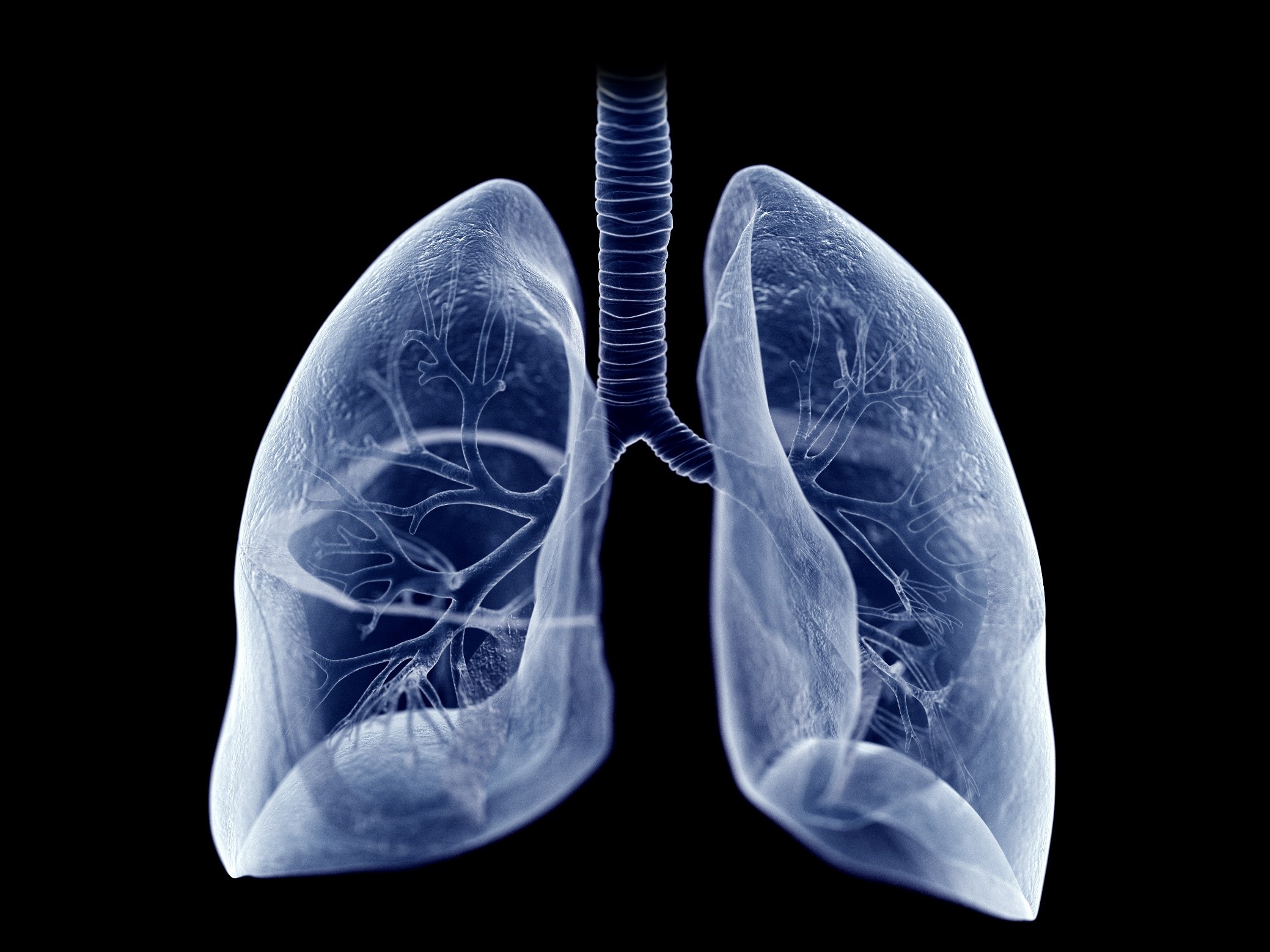 Highly Effective Memory B Cells Localized in the Lungs