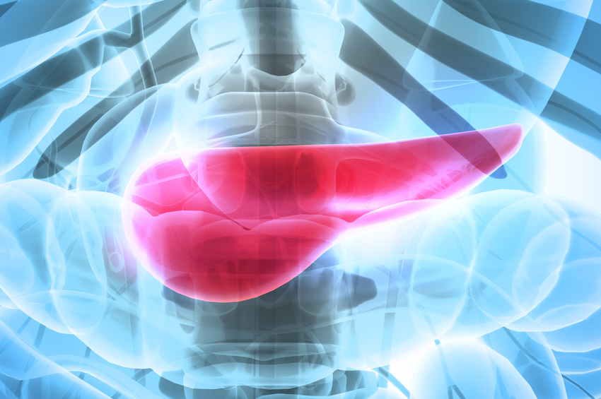 Diabète : découverte de nouveaux liens entre le diabète de type 2 et le cancer du pancréas