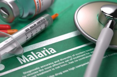 Paludisme : rigidifier les globules rouges infectés pour stopper la transmission de la maladie