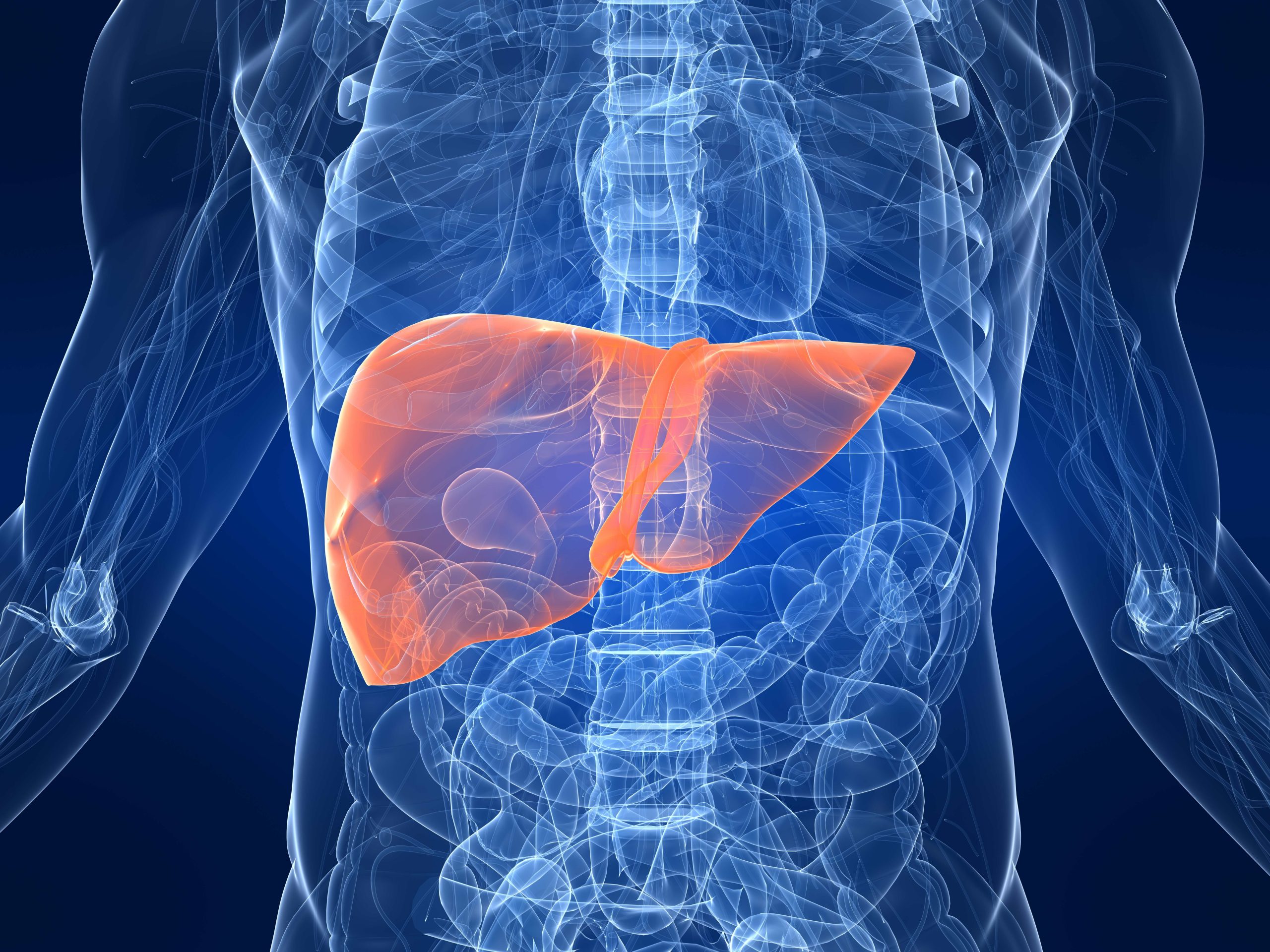 A New Target to Regress Liver Fibrosis