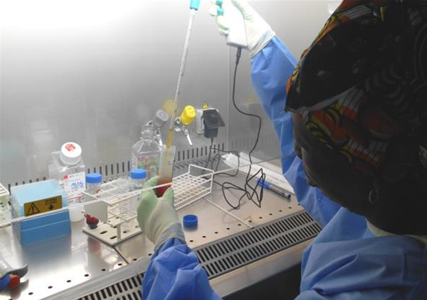 Ebola: a study in Guinea reveals persistent immunity five years after vaccination